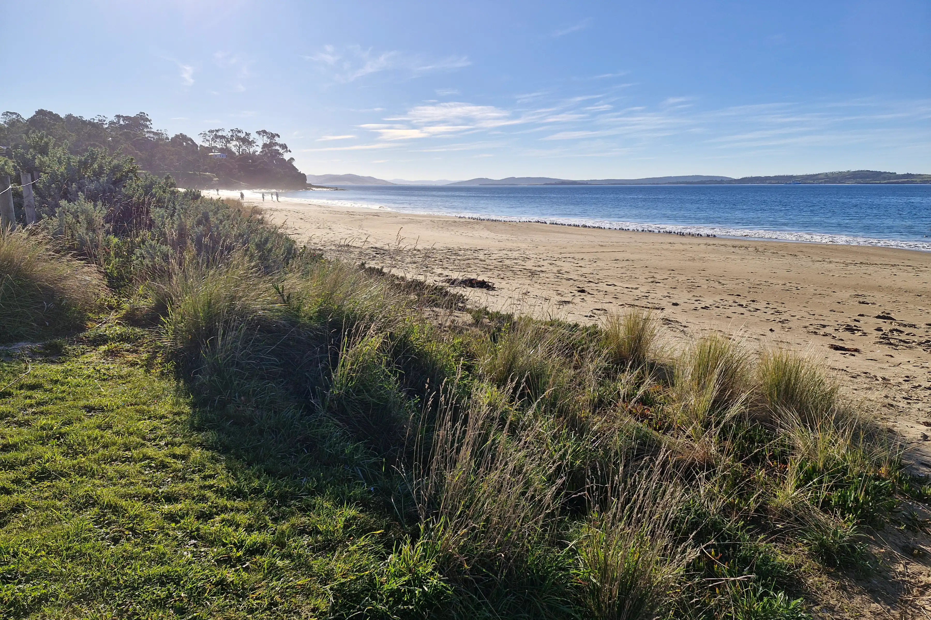 Blackmans Bay Beach. Photo: Derwent Estuary Program.