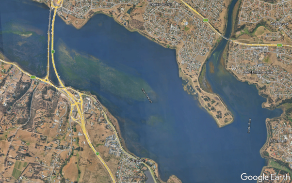 Aerial macrophyte image