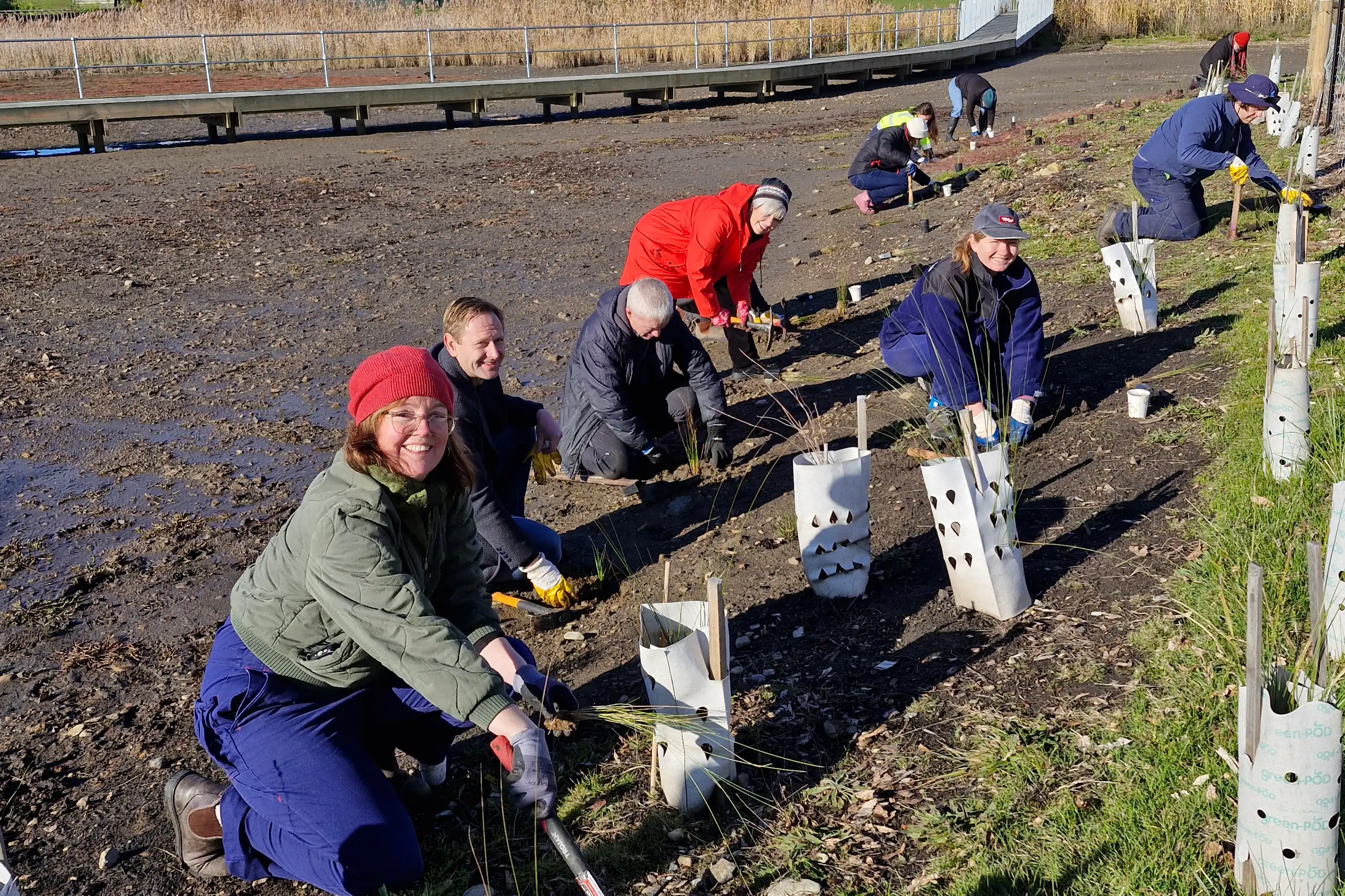 Planting with Glenorchy City Council elected members. Photo: Derwent Estuary Program.