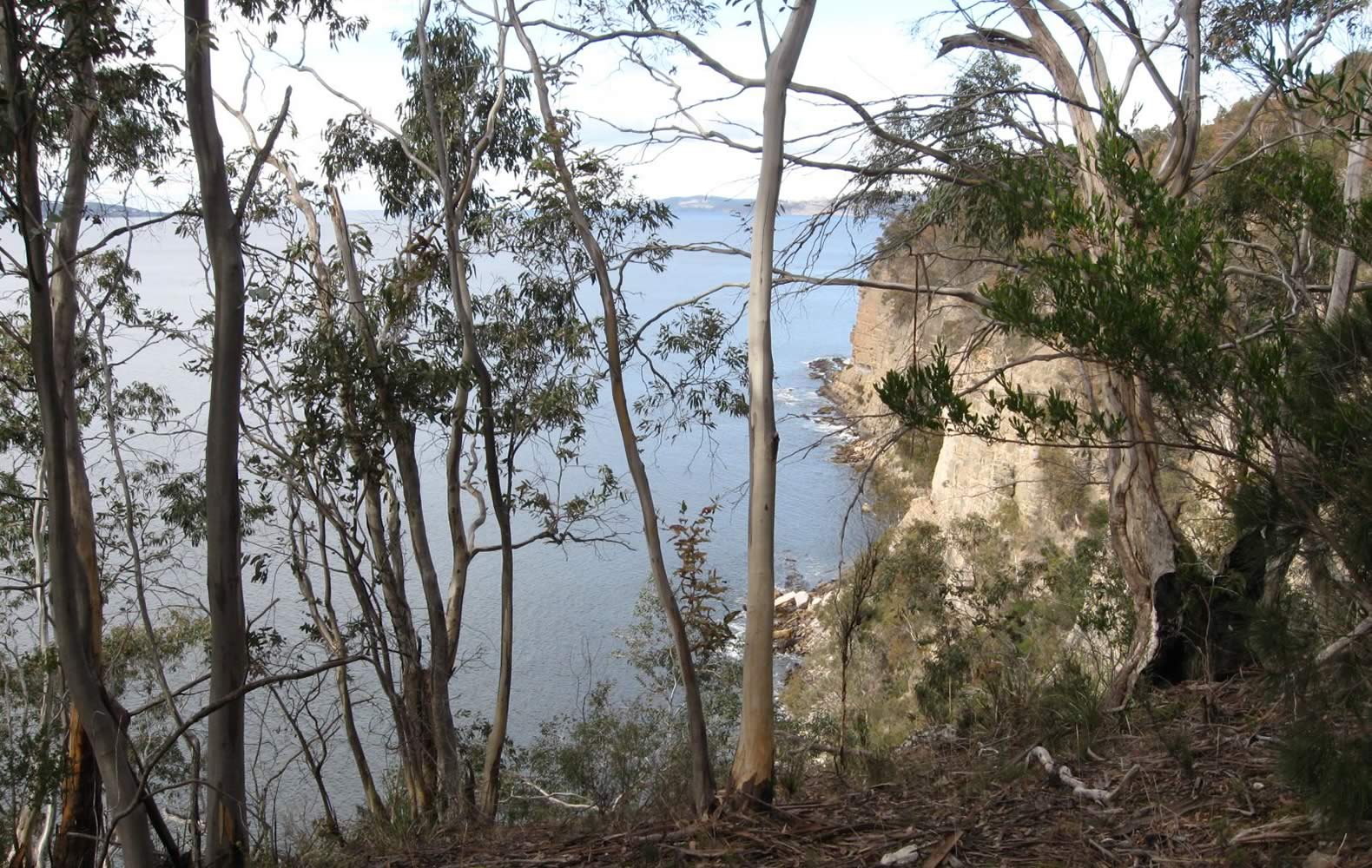 View from Alum Cliffs Track, Kingsborough Photo: Kingborough Council.