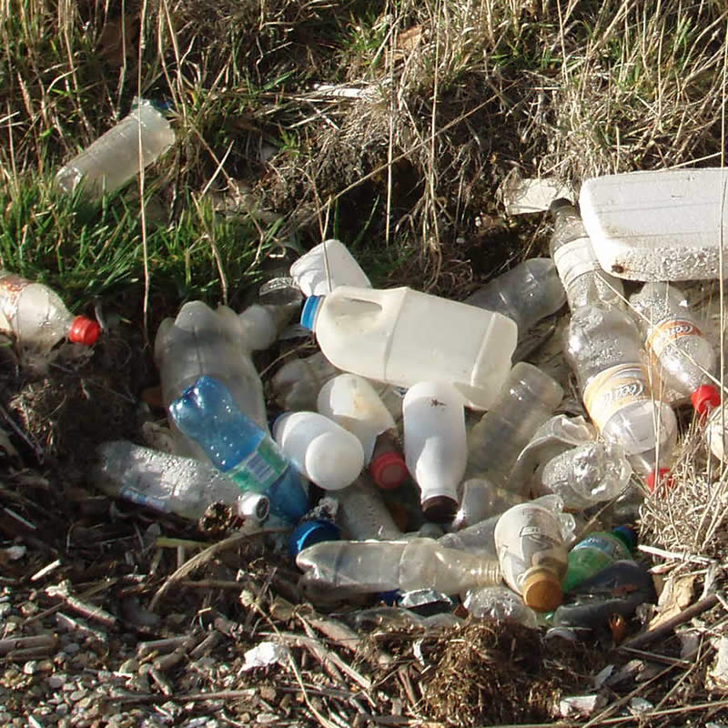 Litter, Bedlam Walls Track. Image: Derwent Estuary Program.