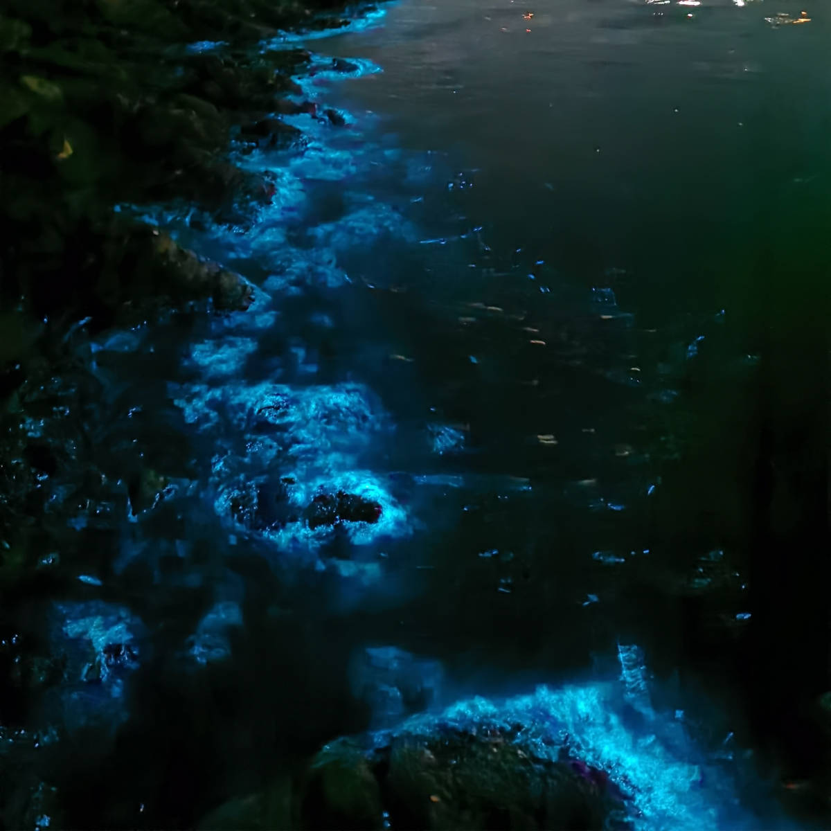 Bioluminescence in the River Derwent at Montagu Bay, April 2021. Image: Jenny Kathy, Bioluminescence Tasmania.