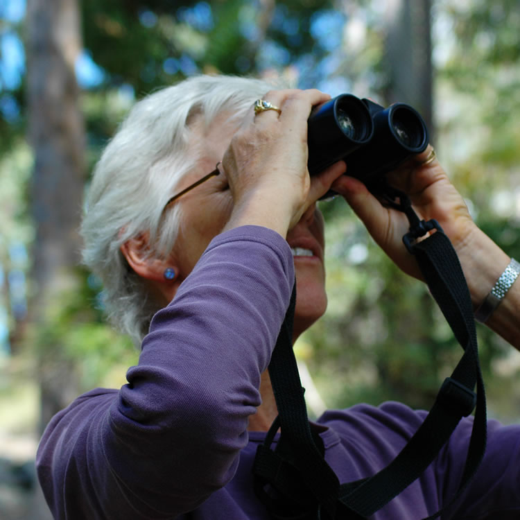 Birdwatcher