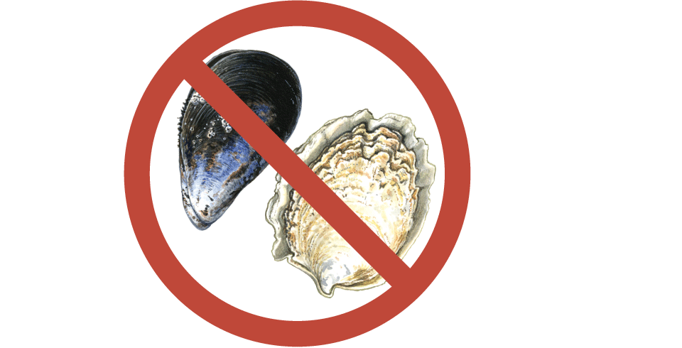 DO NOT eat shellfish collected from the Derwent (including Ralphs Bay).