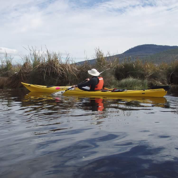 Kayaker