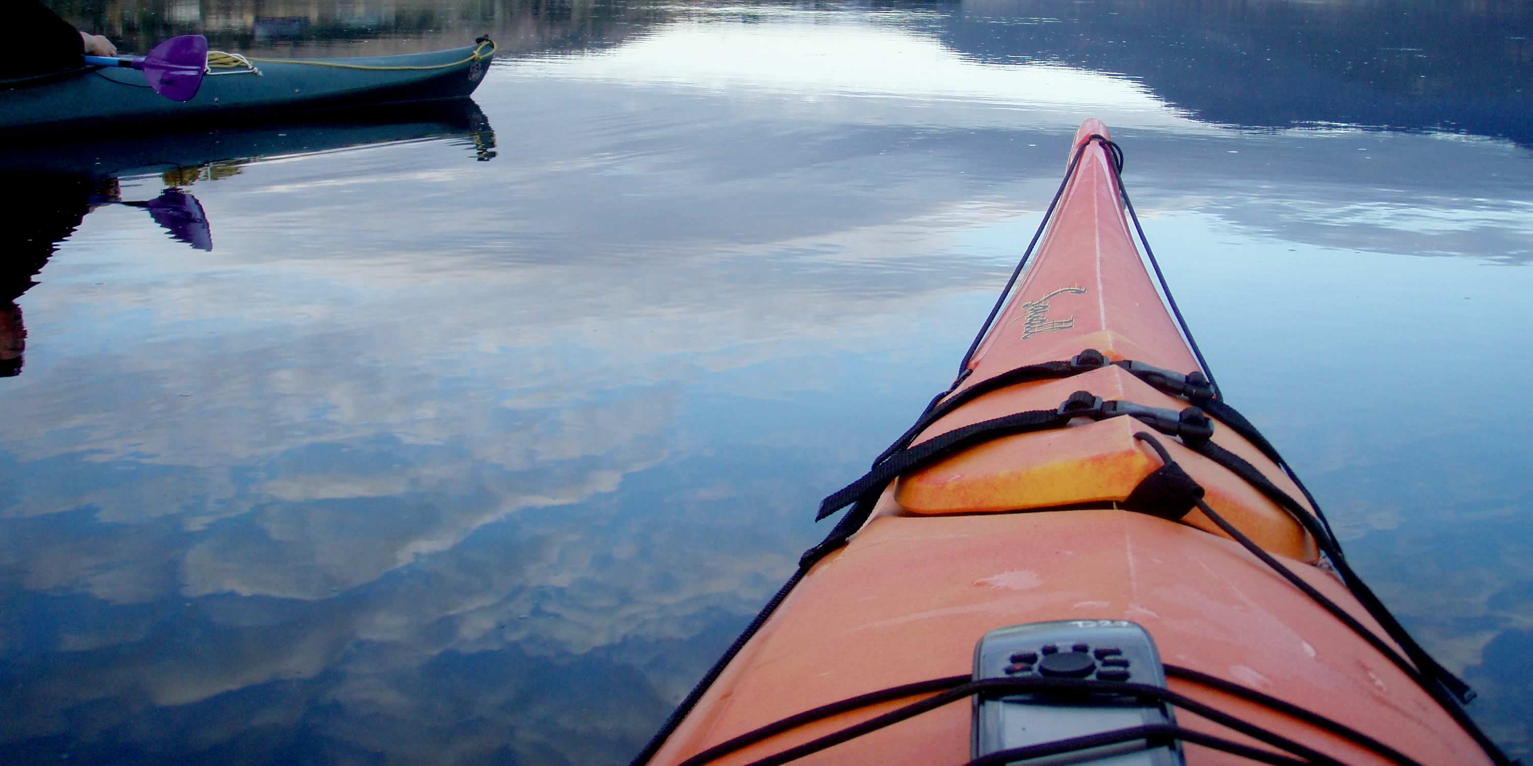 Thank you for subscribing Derwent Estuary Program