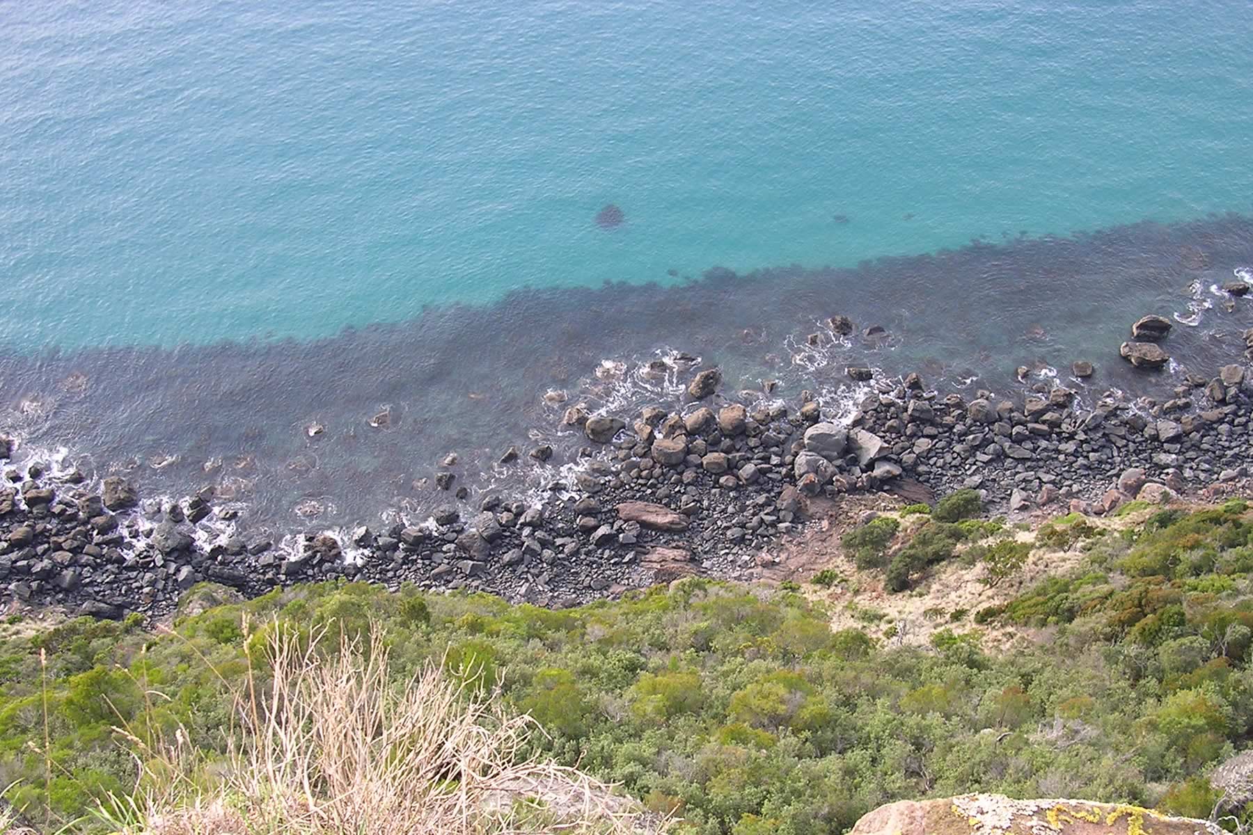 Looking down a cliff, Tasmania. Photo: iStock / fishlock.