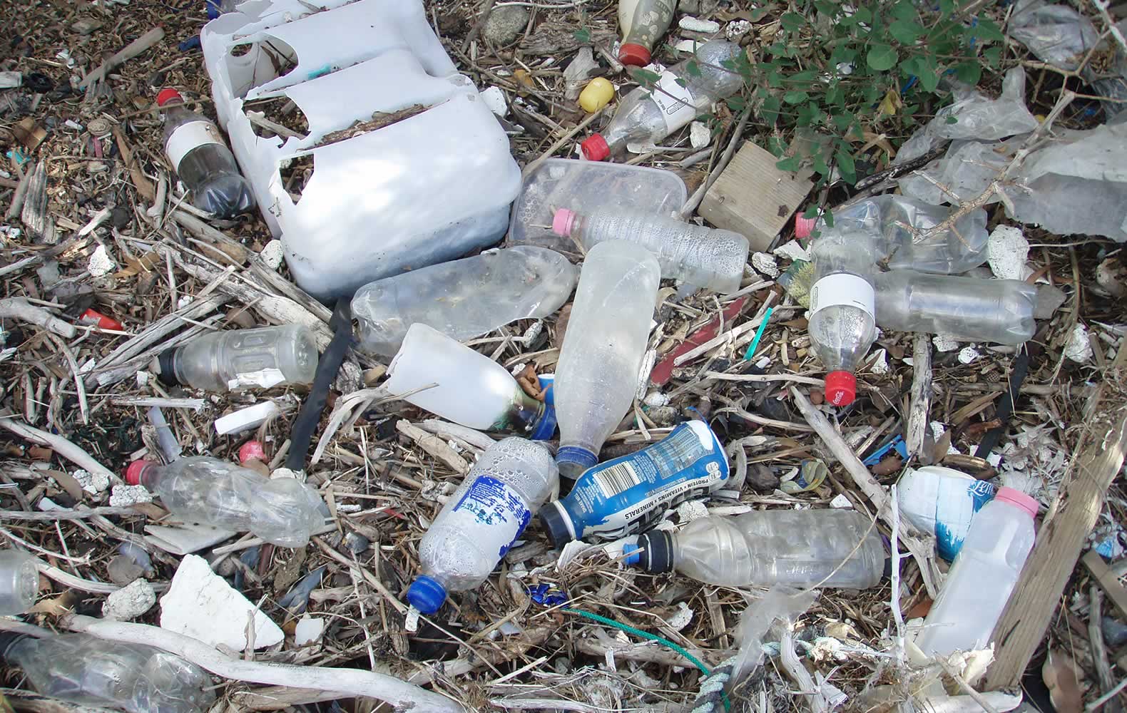 Plastic bottles cleanup. Photo: Derwent Estuary Program.