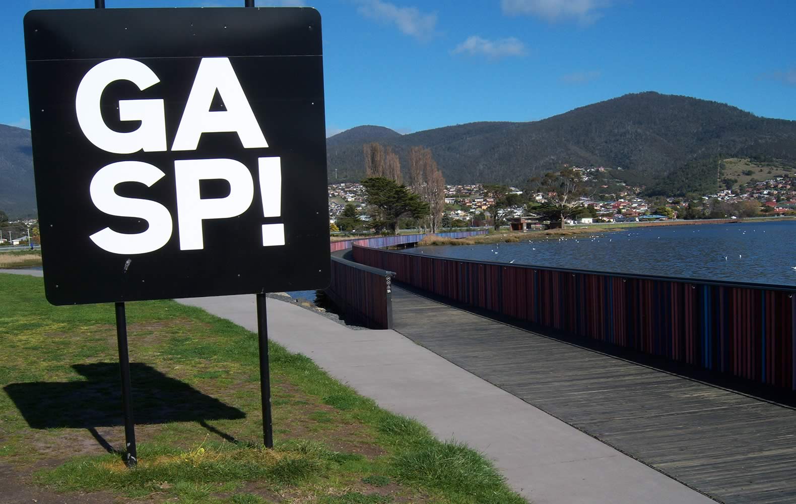 GASP! Elwick Bay. Photo: Glenorchy City Council.