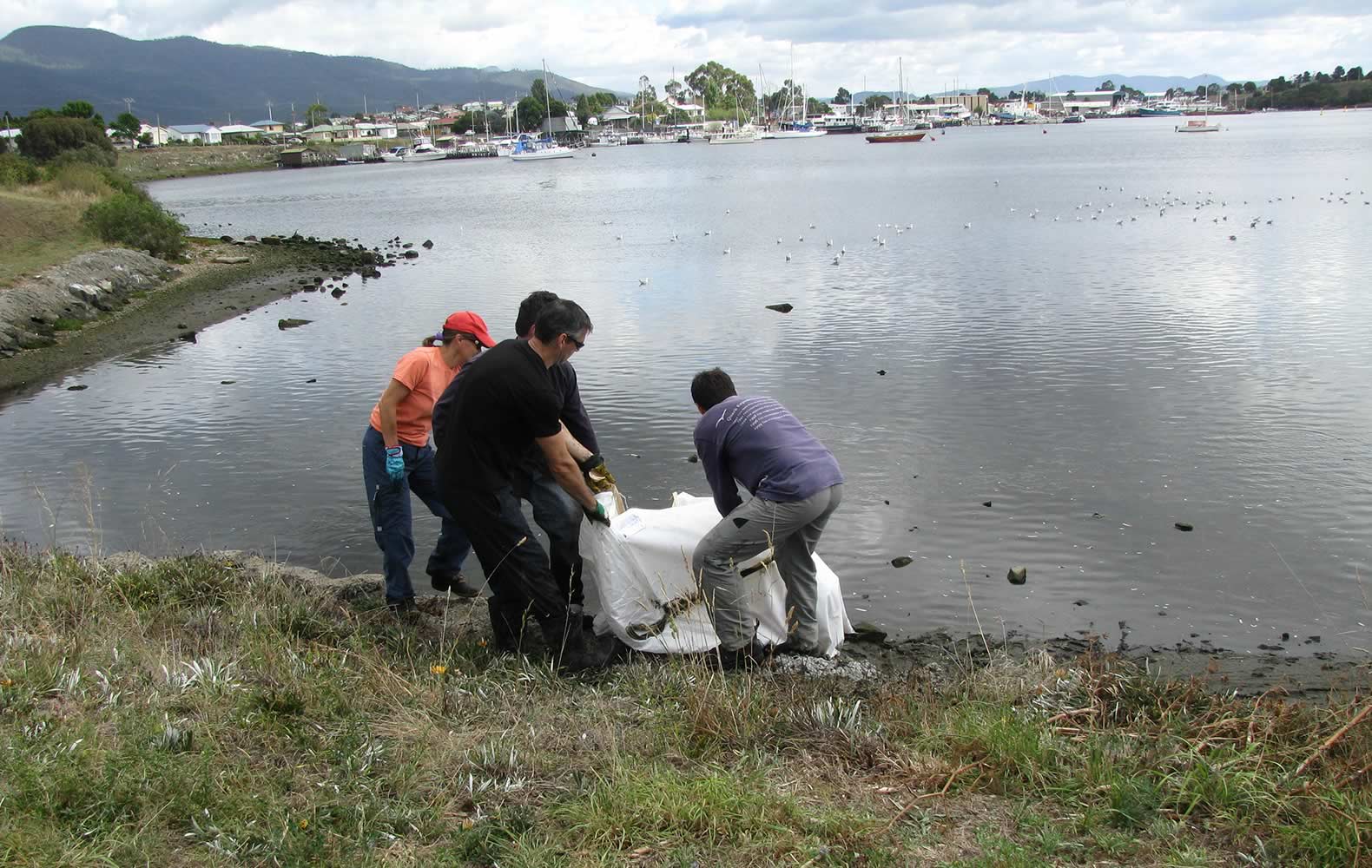 Prince of Wales Bay cleanup 2012 Photo: Derwent Estuary Program.