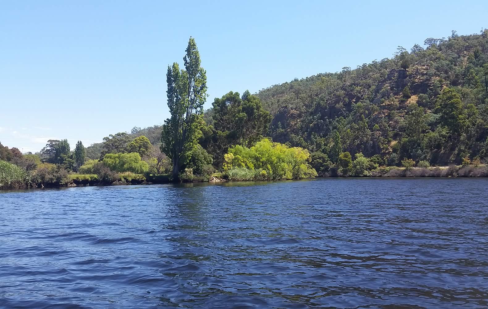 Upper estuary. Photo: Derwent Estuary Program.