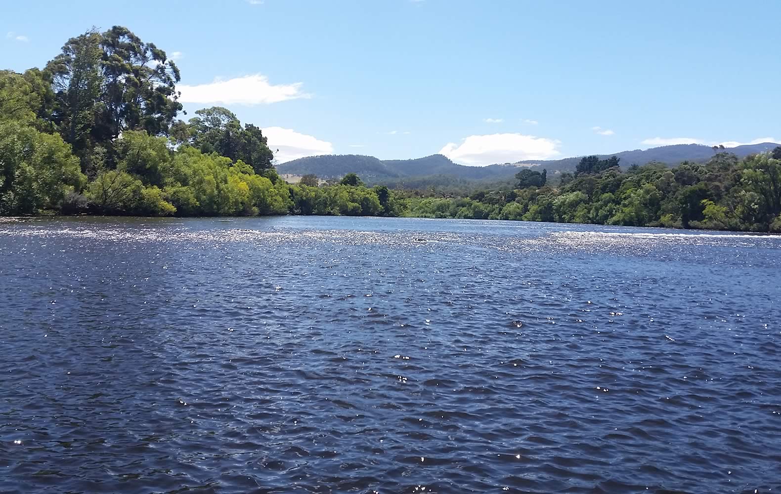 Upper estuary. Photo: Derwent Estuary Program.