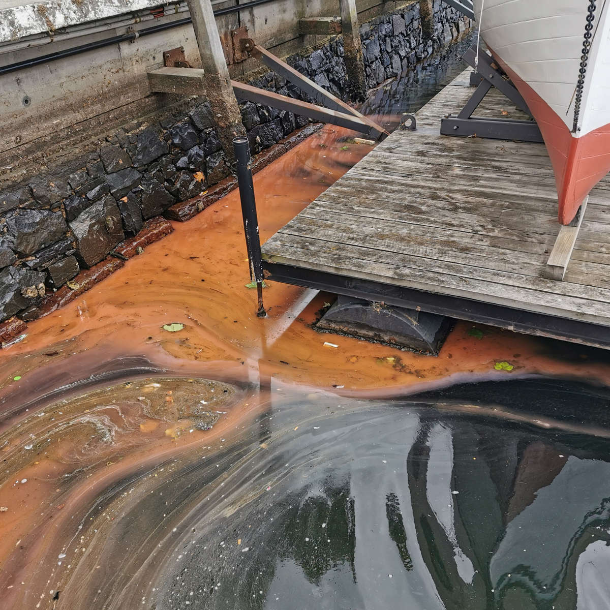 Algal bloom known as ‘red tide’ at the Hobart waterfront, October 2020. Image: Jenny Kathy, Bioluminescence Tasmania.