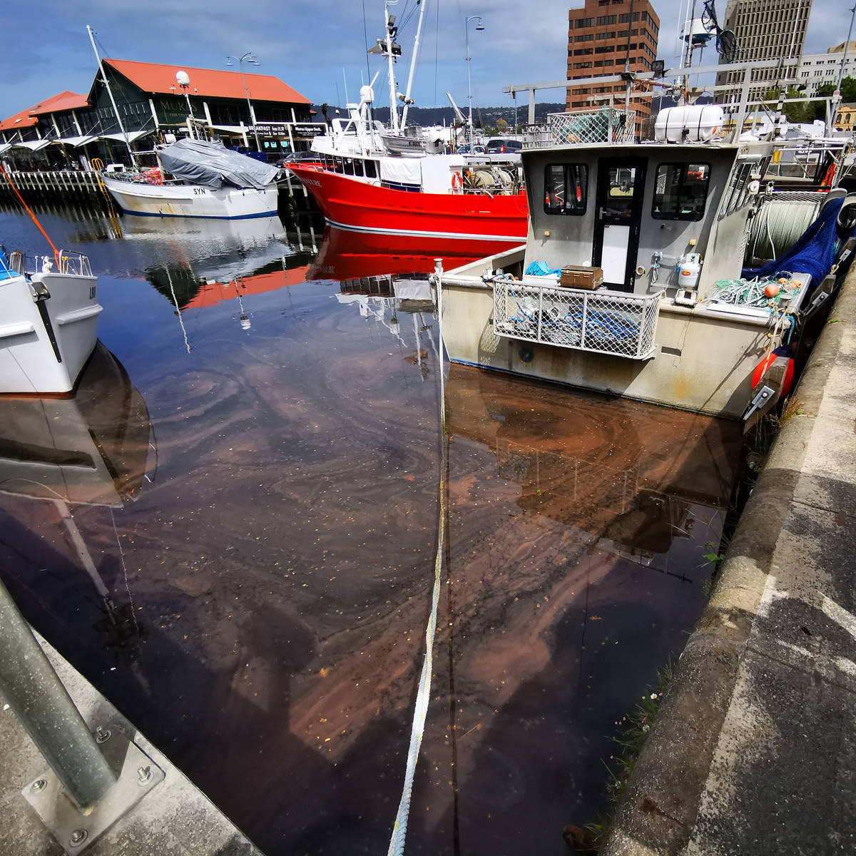 ‘Red tide’ at the Hobart waterfront, October 2020. Photo: Jenny Kathy, Bioluminescence Tasmania.