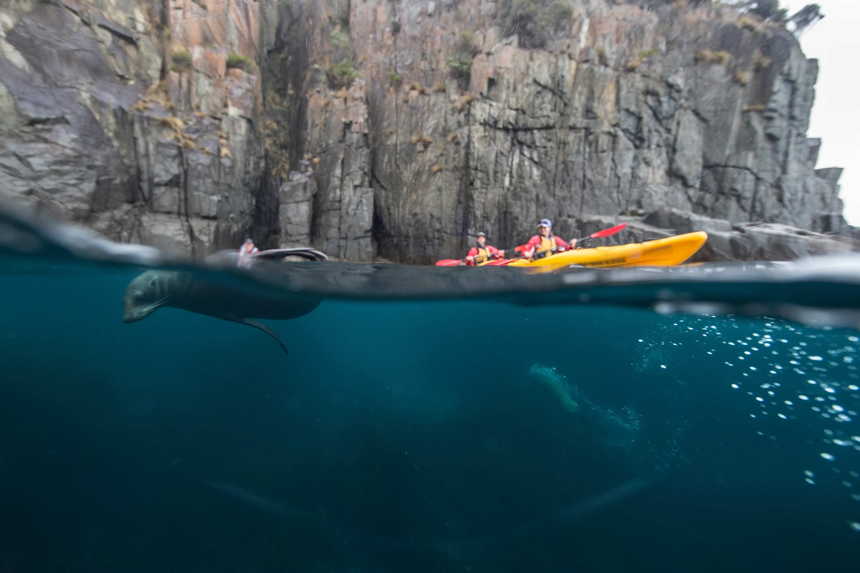 Roaring 40s Kayaking, Tasman National Park. Photo: Tourism Tasmania / Sean Scott.