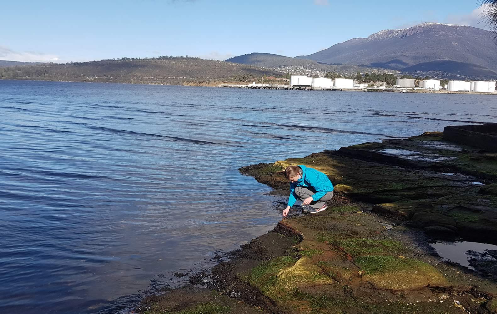 Scientist collecting seaweed. Photo: Derwent Estuary Program.