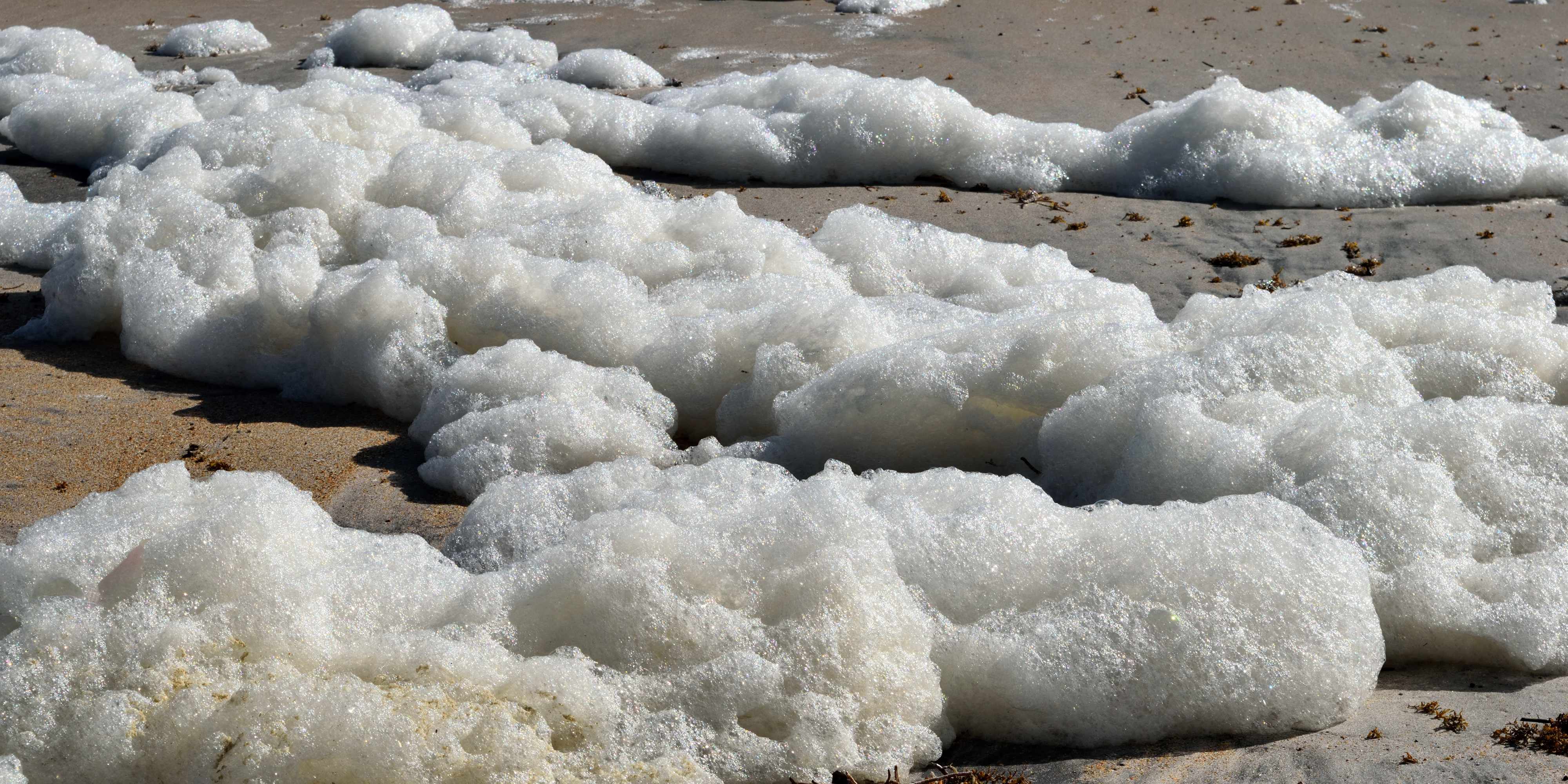 Spume / sea foam / ocean foam / beach foam formed during stormy