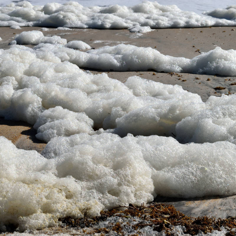 Sea foam on a beach. Image: paulbr75.