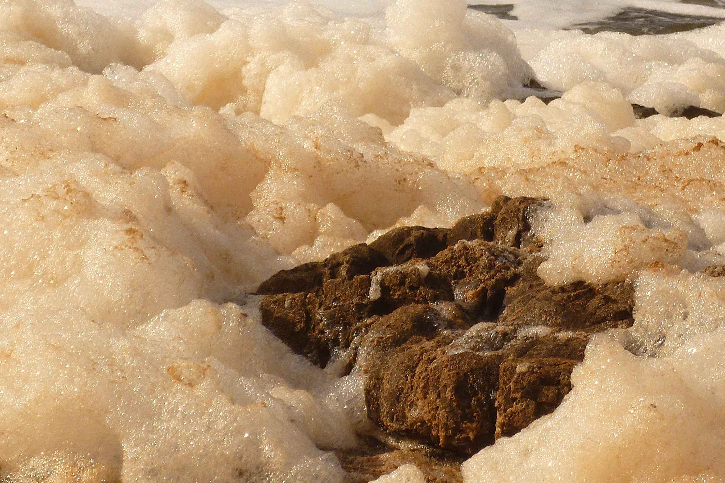 Brown sea foam at the shore. Photo: German11.